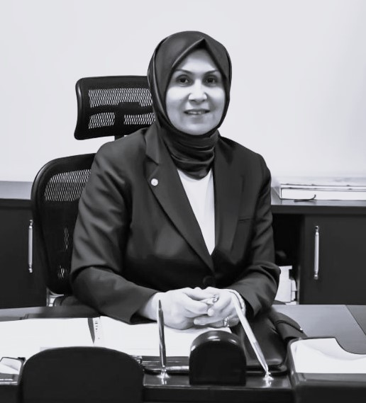 Afire Sever - Genel Müdür, Su Yönetimi Genel Müdürlüğü 