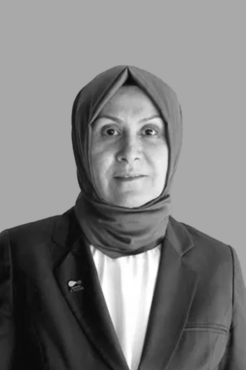 Afire Sever - Genel Müdür, Su Yönetimi Genel Müdürlüğü (SYGM)