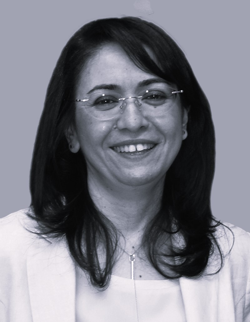 Prof. Dr. Bilge Alpaslan Kocamemi - Yönetim Kurulu Üyesi, IWRA - Danışman, Türkiye Su Enstitüsü (SUEN)