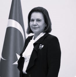 Büyükelçi Berris Ekinci - Dışişleri Bakan Yardımcısı