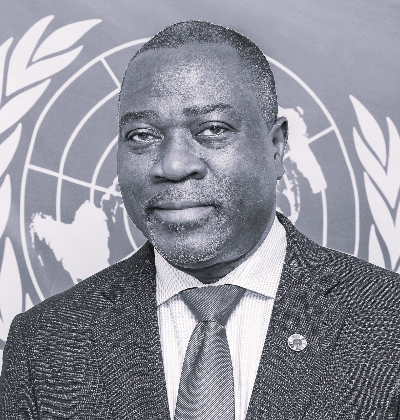 Dr. Babatunde Ahonsi -  Mükim Koordinatör, BM Türkiye