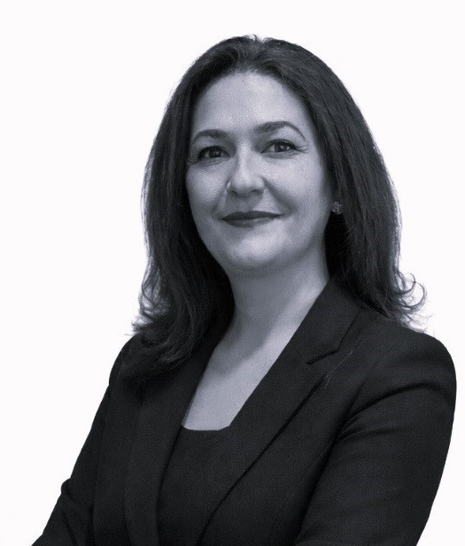 Dr. Özlem İritaş - Dış İlişkiler Dairesi Başkanı, Devlet Su İşleri (DSİ) Genel Müdürlüğü  