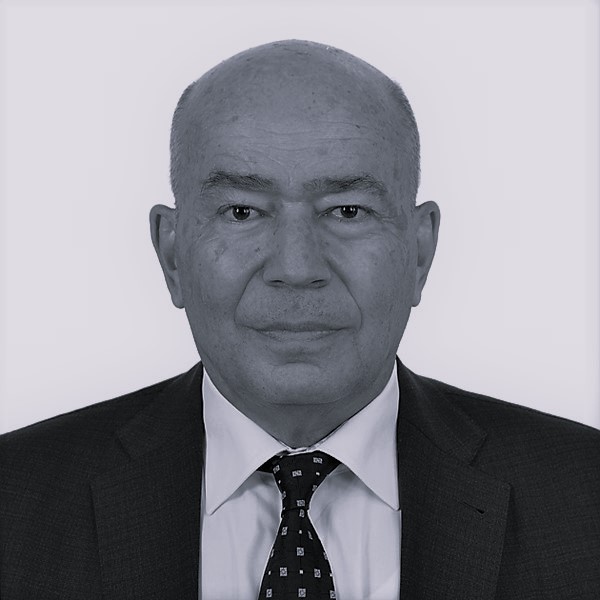 İrfan Aker - CEO, DOLSAR
