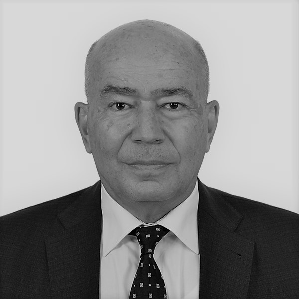 İrfan Aker - CEO, DOLSAR