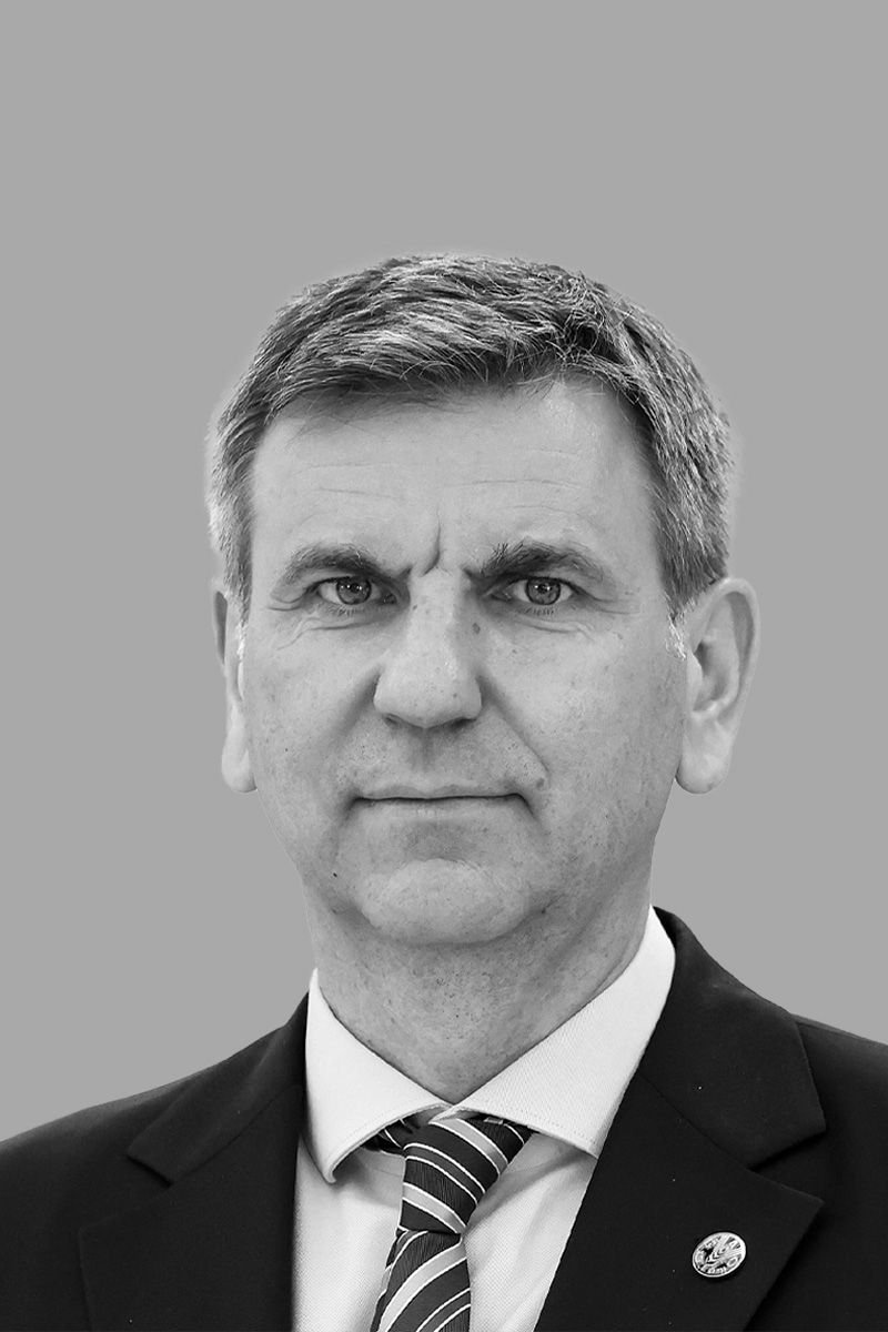 Viorel Gutu - Viorel Gutu